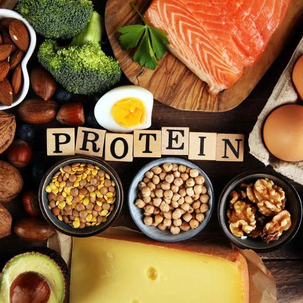 protein quality complete proteins incomplete proteins essential amino acids protein sources animal-based proteins plant-based proteins protein complementing muscle repair balanced diet