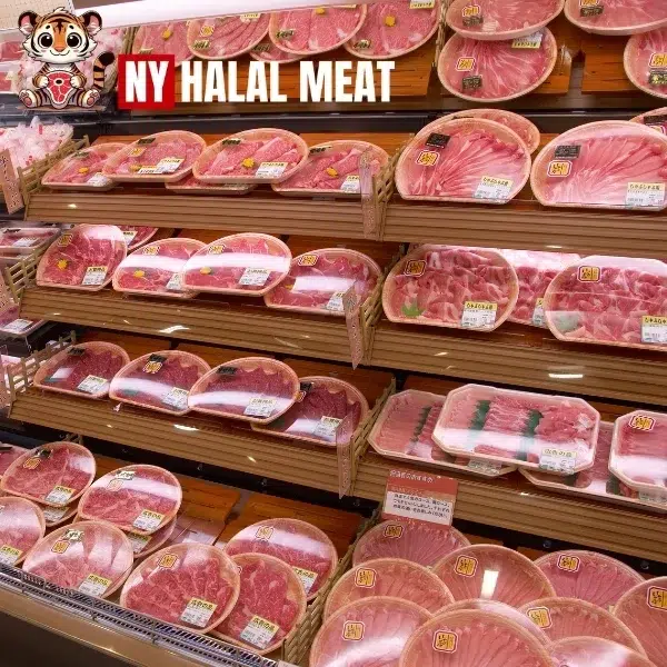 Best Halal Meat in Manhattan: NY Halal Meat