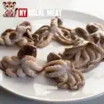 Can Muslims Eat Octopus?