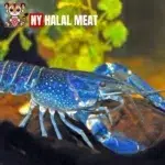 Halal Lobsters