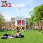 Best Halal Eats Near College Campuses in America