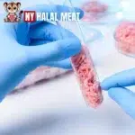 Buy Antibiotic-Free Meat