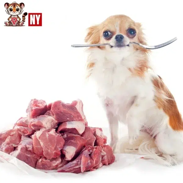 Halal Meat for Pets