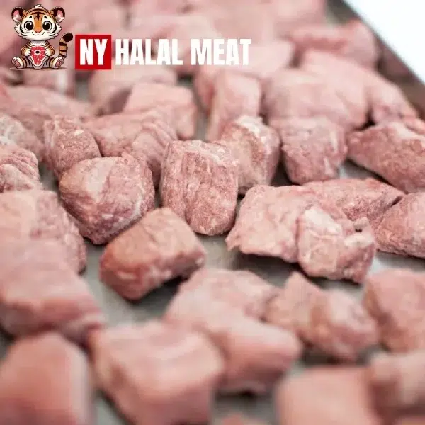 The Future of NASA-Style Freeze-Dried Meats